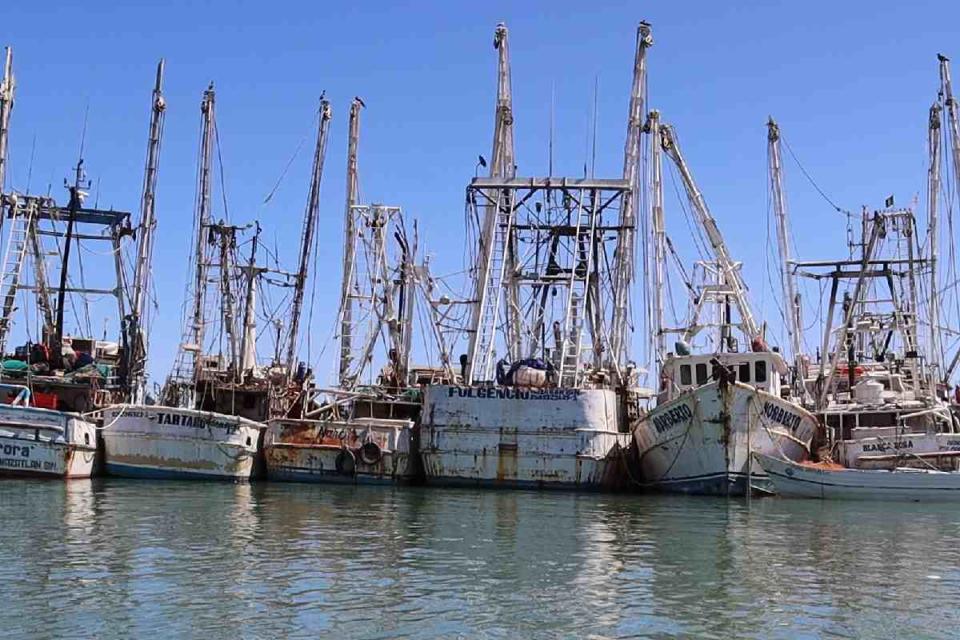 Barcos pesqueros