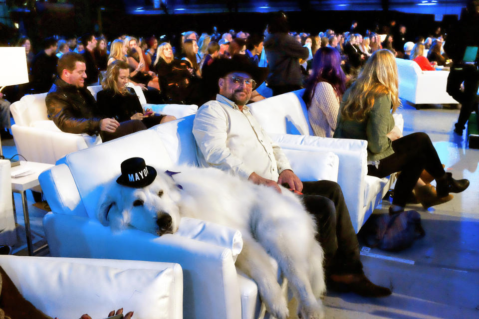 Duke lounging on a couch at the 2015 World Dog Awards. (Photo: AP Photo/Richard Vogel)