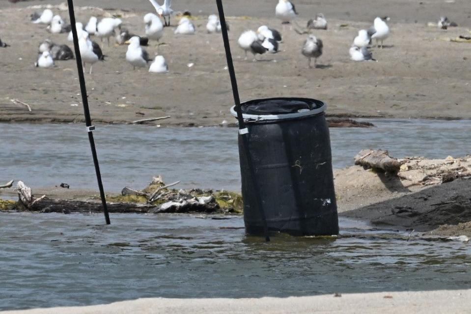 美國警方：馬利布海灘驚見桶裝屍
