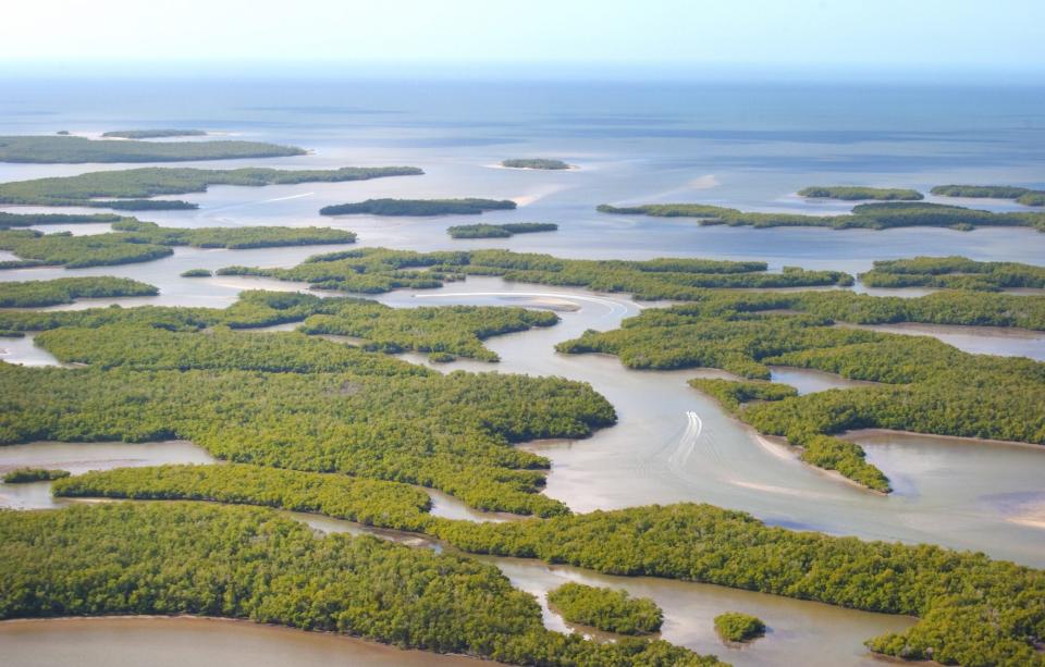 Ten Thousand Islands Aerial View