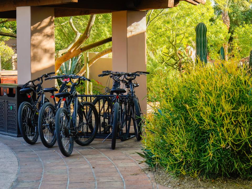 Bikes on a brick path in front of a succulent garden