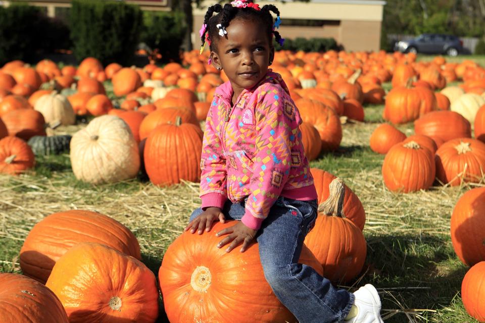 September marks the beginning of pumpkin picking season.