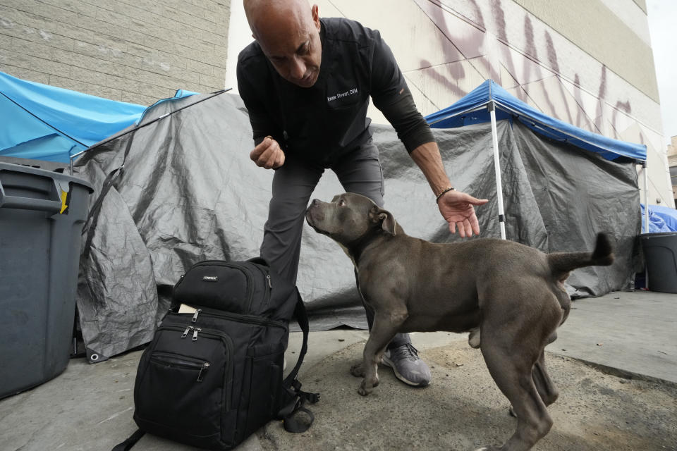 Dr. Kwane Stewart gives the dog Kilo a dewormer tablet in the Skid Row area of Los Angeles on Wednesday, June 7, 2023. “The Street Vet,” as Stewart is known, has been supporting California's homeless population and their pets for almost a decade. (AP Photo/Damian Dovarganes)