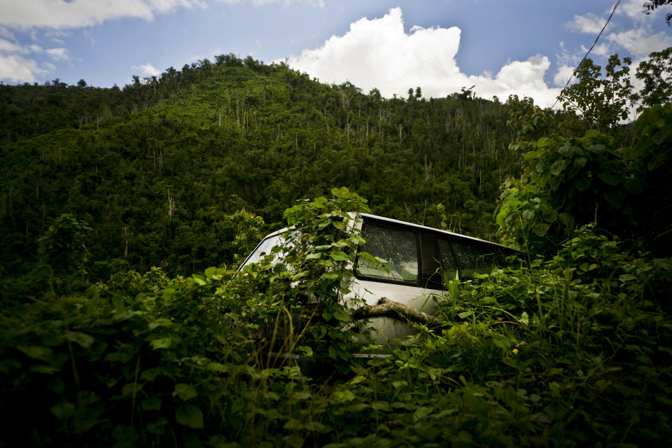 Morovis, Puerto Rico