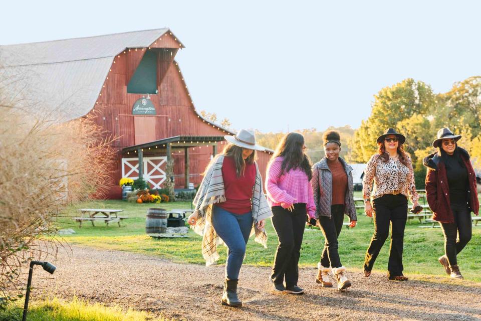 Group walking at the vineyard