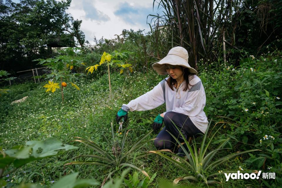 本身相當害怕昆蟲的 Bella，已習慣「落手落腳鋤田、除草」的生活。