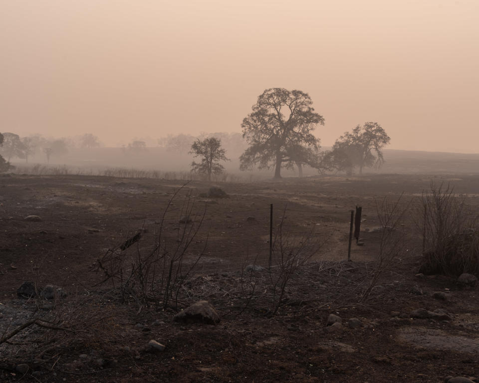 Views from a burned and smokey section of Skyway Road leading to Paradise. (Photo: Cayce Clifford for HuffPost)