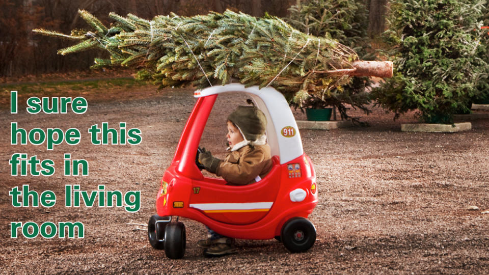 Boy in toy car with tree on roof and caption, 
