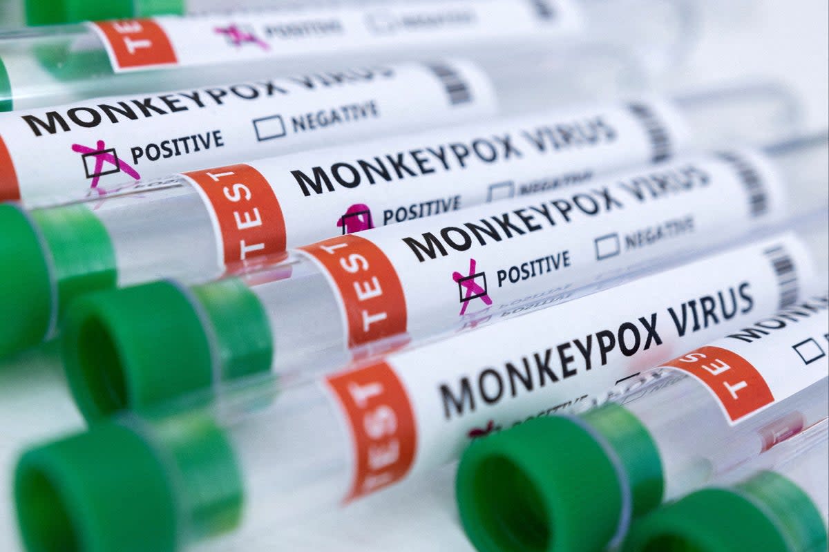 Almost 500 cases of monkeypox have been detected among London residents (REUTERS)