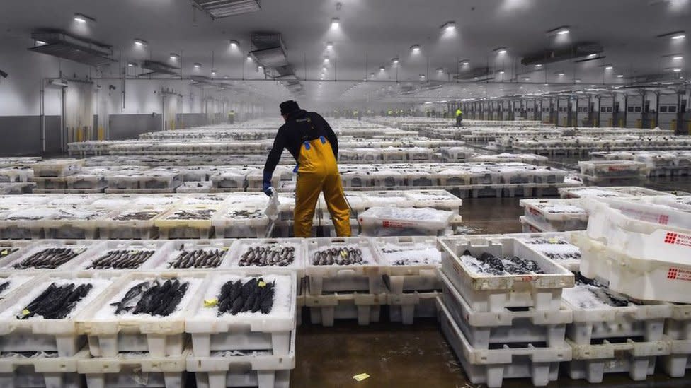 Peterhead Fish Market