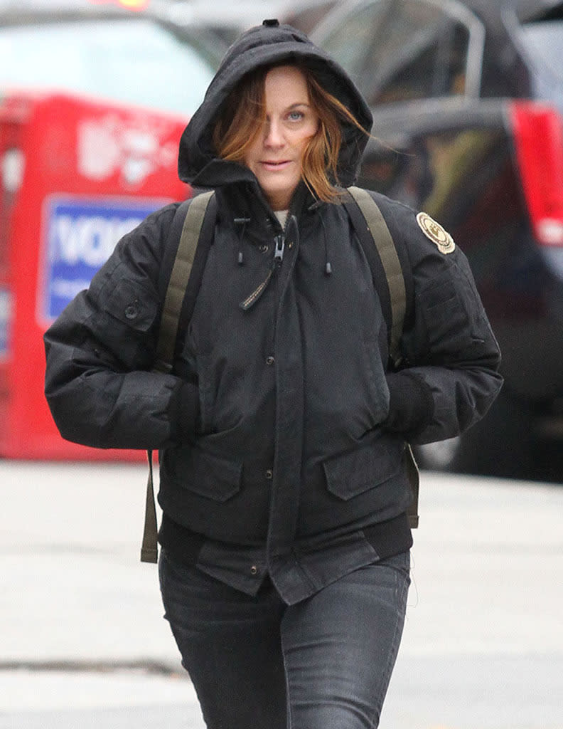 Amy Poehler