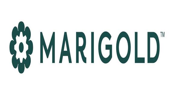 Introducing Marigold: The first martech company to offer relationship marketing solutions that drive lifelong loyalty: Rooted in deep industry expertise, Marigold is the customer that builds loyal customer relationships for over 40,000 customers worldwide Integrate world-class fit-for-purpose marketing solutions across the lifecycle.  From SMB to enterprise.