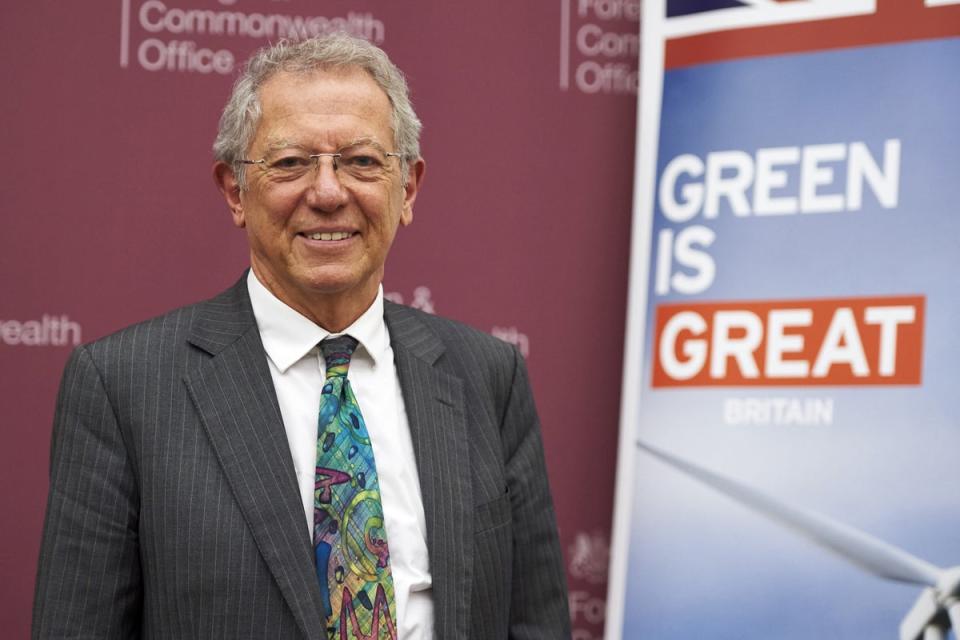 Sir David King  served as the special representative for climate change from 2013 until 2017, and before that as the government’s chief scientific advisor from 2000 to 200 (AFP via Getty Images)