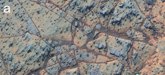 Pancam false-color image acquired on sol 3208 of Matijevic formation rocks at the Whitewater Lake locality, showing embedded spherules. Approximate scale across image is 40 cm.