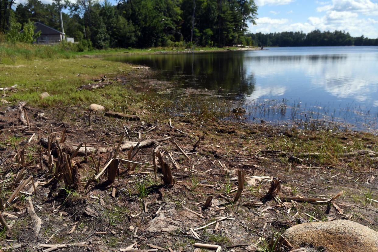 A New Hampshire Department of Environmental Services-proposed herbicide treatment plan will be used to kill milfoil growth in Willand Pond in Dover.