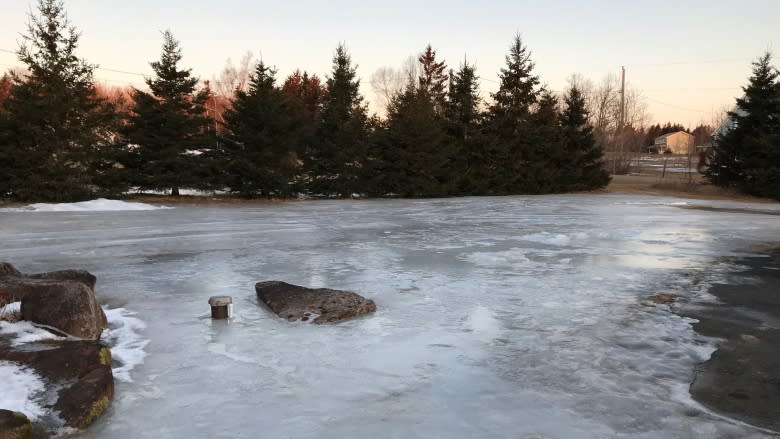 Rapid thaws and freezes will be hard on lawns this spring, landscaper says