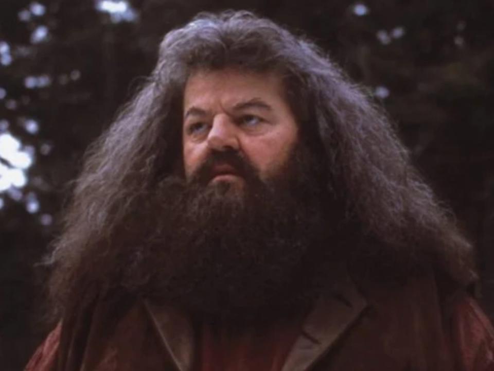 Robbie Coltrane as Hagrid in the ‘Harry Potter’ films (Warner Bros Pictures)