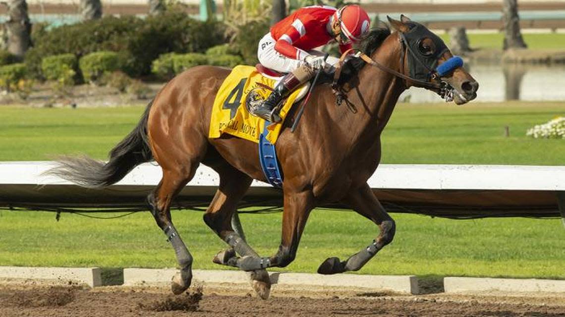 Practical Move has finished in the money in all seven of his races and has won the last three — the Grade 2 Los Alamitos Futurity, the Grade 2 San Felipe Stakes and the Grade 1 Santa Anita Derby.