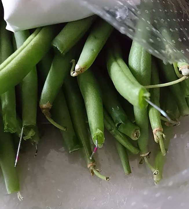 Shocking sight: Margaret found 12 needles in her green beans (Mercury)