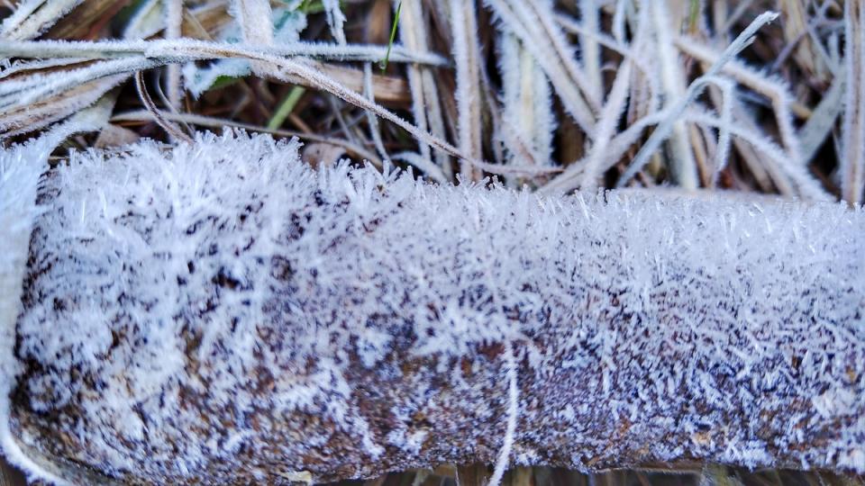 氣溫驟降加上水氣配合，台中市和平區的大雪山森林遊樂區內也於今（23）天早上7時許降下瑞雪。   圖：翻攝自農業部林業及自然保育署台中分署官網