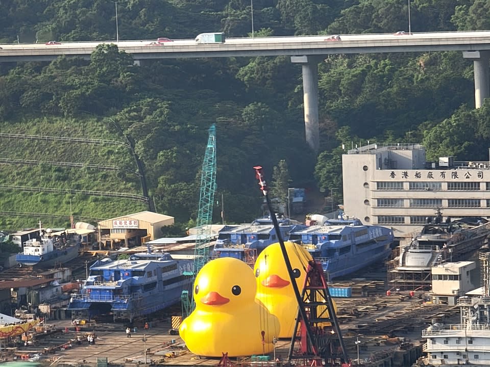 有網民發現兩隻橡皮黃鴨驚現青衣船廠對出。（Facebook「屯門公路塞車關注組」圖片）