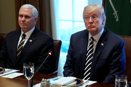 U.S. President Donald Trump, flanked by Vice President Mike Pence‬, hosts Saudi Arabia's Crown Prince Mohammed bin Salman for a working lunch at the White House in Washington, U.S. March 20, 2018. REUTERS/Jonathan Ernst