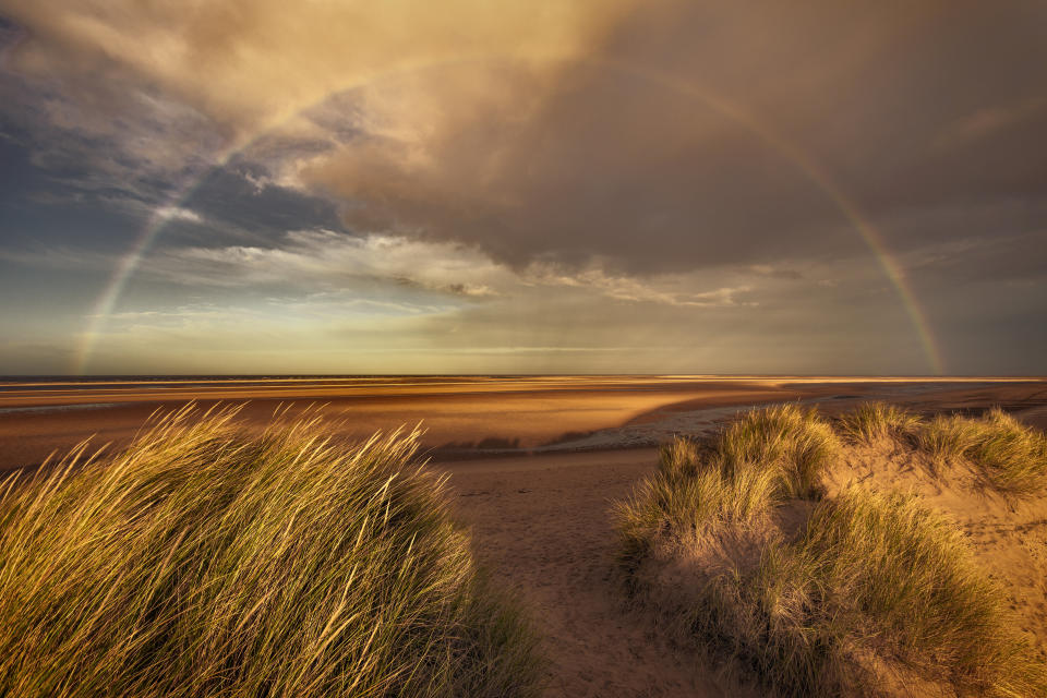 Nigel Morton titled this image, taken in Norfolk, England, 'Window of Opportunity'.