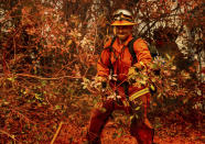 An inmate firefighter clears brush while battling the Fawn Fire burning north of Redding in Shasta County, Calif., on Thursday, Sept. 23, 2021. (AP Photo/Ethan Swope)