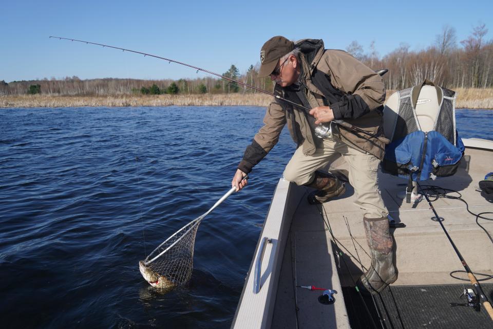 Dave Zeug of Shell Lake nets a northern pike while fishing on Shell Lake as part of the 2022 Governor's Fishing Opener.