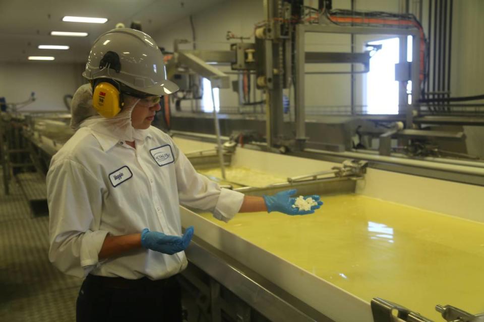 Maggie Harding, manufacturing manager at Lactalis, scoops cheese out of a vat at the company’s plant in Nampa. The square chunks are midway through a fermentation process that turns milk into mozzarella. The yellow liquid in the vat, made mostly of water, separates from the curds and is drained off and dried to become whey.