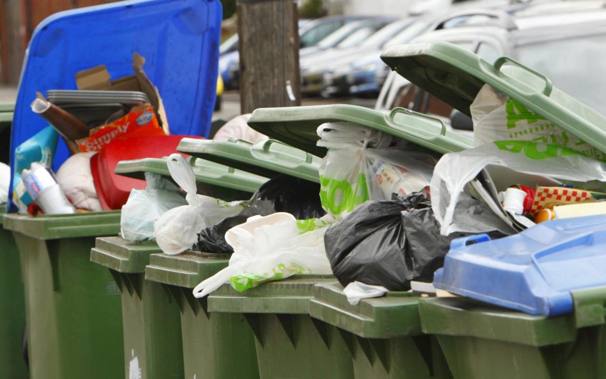 The wheelie bin would come with fortnightly collections  - PA