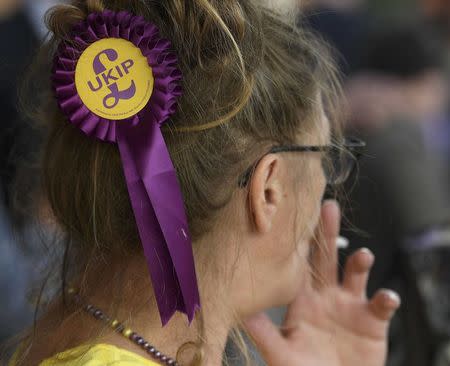 A United Kingdom Independence Party (UKIP) supporter wears a rosette at the party's annual conference in Bournemouth, Britain, September 16, 2016. REUTERS/Toby Melville