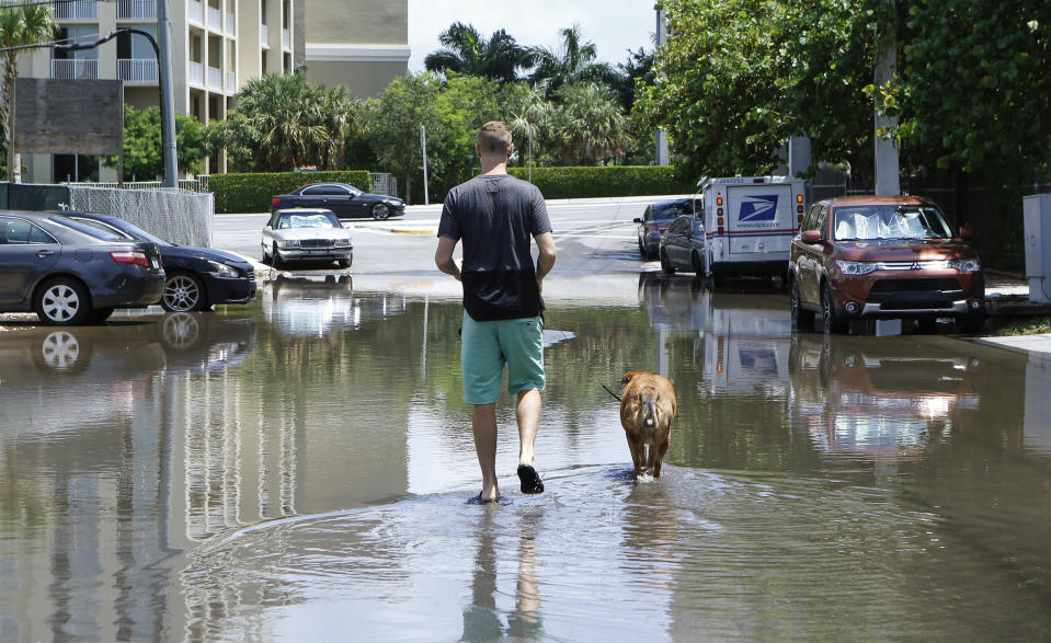 In this June 19, 2019 photo, 27-year-old Ben Honeycutt is shown walking his dog through a flooded Miami street cause by heavy rain. Some consider Miami the Ground Zero for any climate-related sea level rise in the U.S. Many local residents and community leaders will be listening keenly for any proposals to stave off the effects of rising seas. (AP Photo/Ellis Rua)