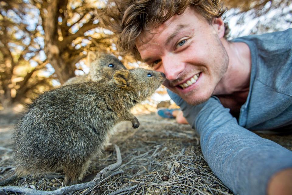 Spektakuläre Bilder: Die lustigsten Tier-Selfies von "Dr. Dolittle" Allan Dixon