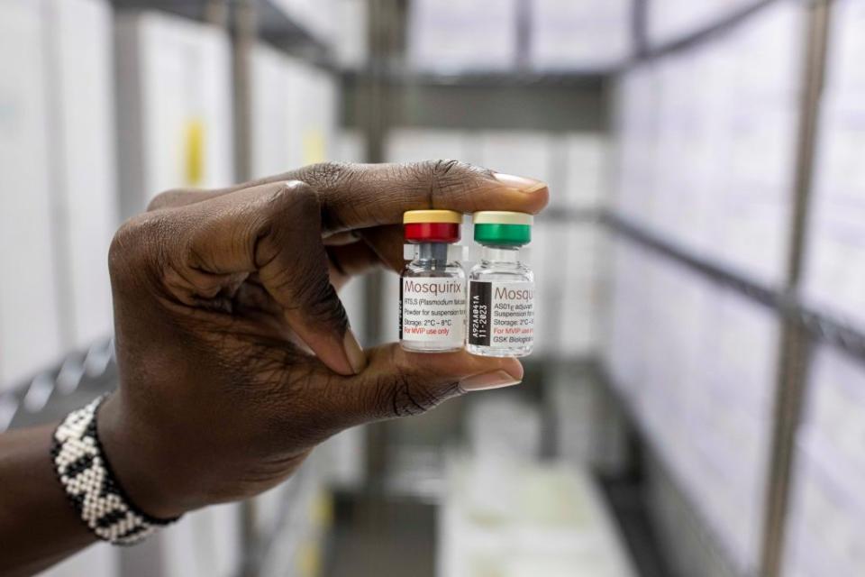 The World Health Organization backed the widespread rollout of the Mosquirix vaccine after successful pilot programs in Kenya, Ghana, and Malawi.<span class="copyright">Patrick Meinhardt—Getty Images</span>