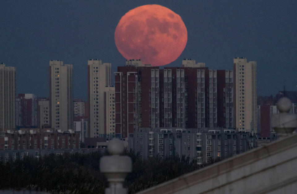 La luna sube detrás de edificios de apartamentos en Beijing, China, el lunes, 14 de noviembre de 2016. La luna más brillante en casi 69 años se iluminará en el cielo esta semana en un regalo para los observadores del cielo de todo el mundo. (Foto AP / Ng Han Guan)