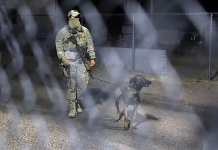 A military personnel member patrols with a dog within the gates to Area 51 as an influx of tourists responding to a call to 'storm' Area 51 is expected in Rachel