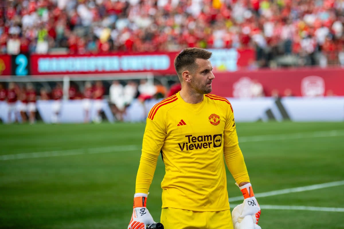 On the plane: Manchester United’s Tom Heaton will travel to Germany as a ‘training goalkeeper’ for England (Manchester United via Getty Images)