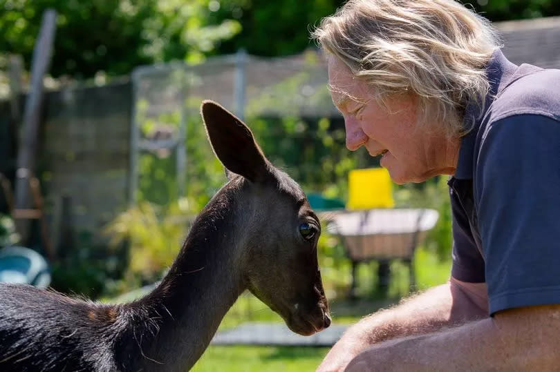 Steve Hopper and deer Milly