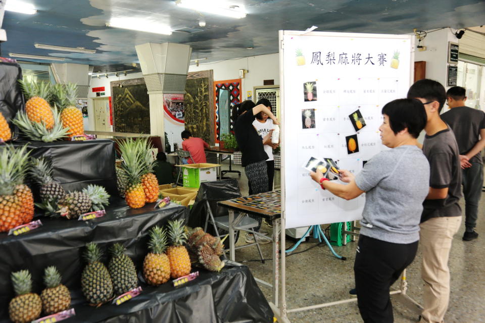 ▲鳳梨麻將大賽可學到17種鳳梨品種照片。（圖/嘉義大學提供，2019.05.23）