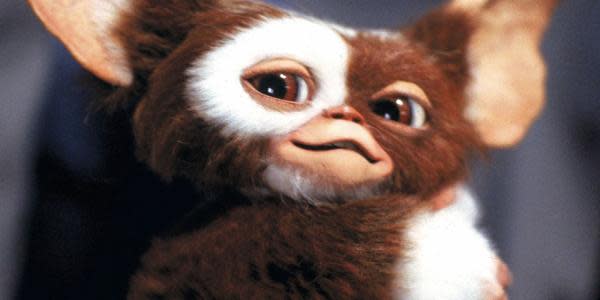 Director de Gremlins dice que Baby Yoda es una copia descarada de Gizmo