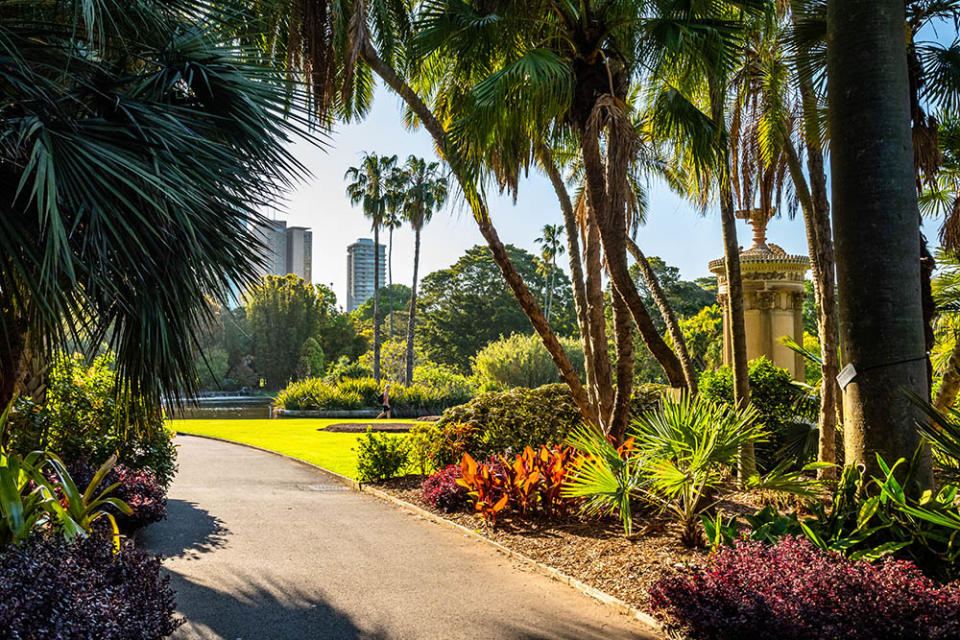 雪梨皇家植物園（Image Source : Getty Creative/iStockphoto）