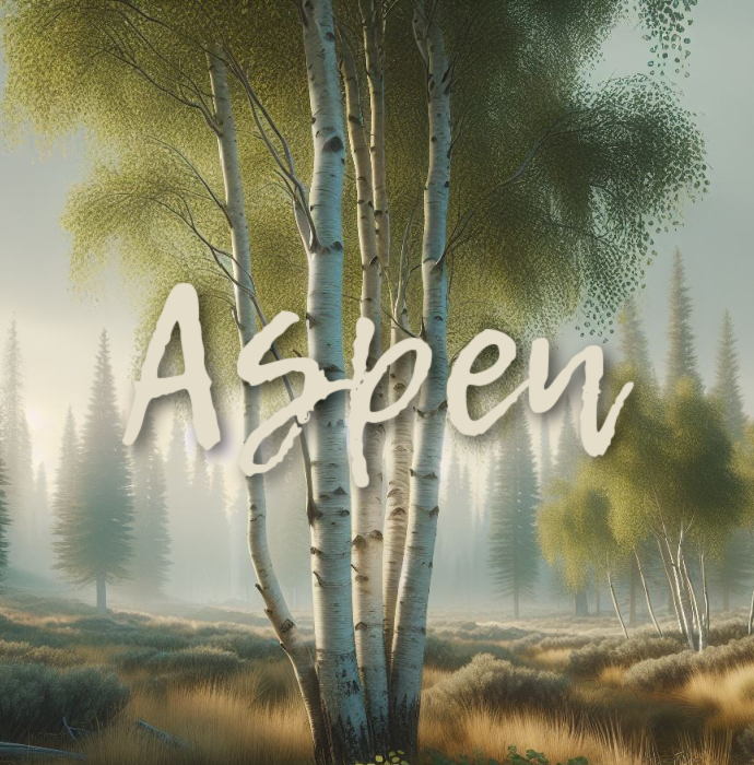 Aspen