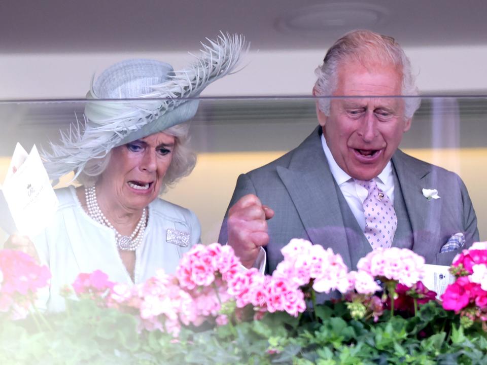 King Charles and Camilla celebrate the moment their horse Desert Hero wins on day three of Royal Ascot 2023