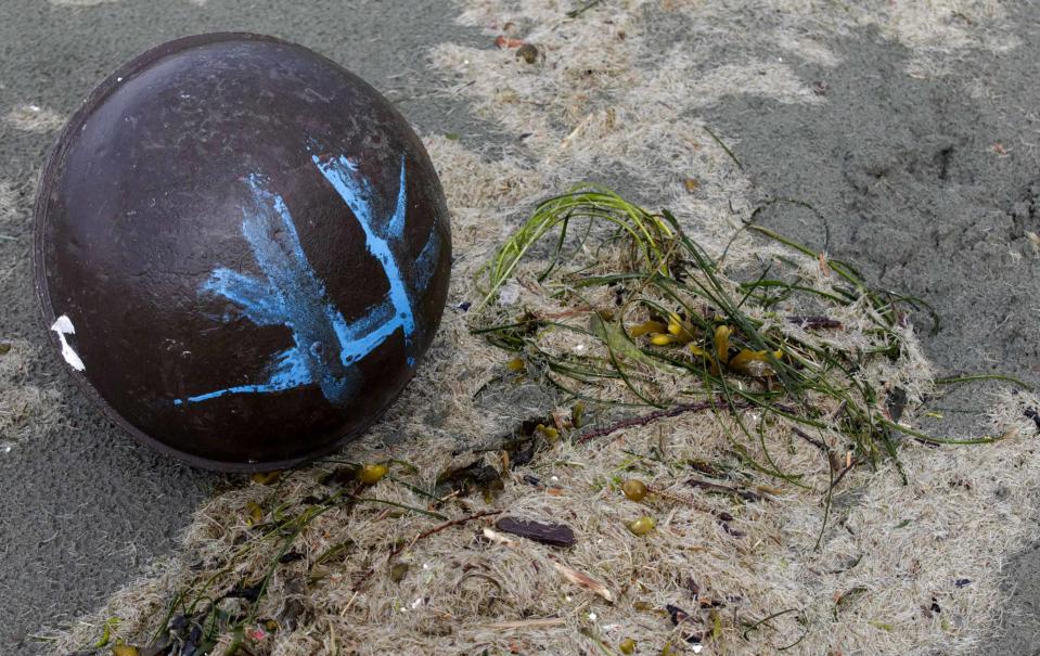 A small buoy washed ashore could be linked to the tsunami. Experts in ocean currents say that a large debris field of various materials is out to sea and could be coming towards North America.