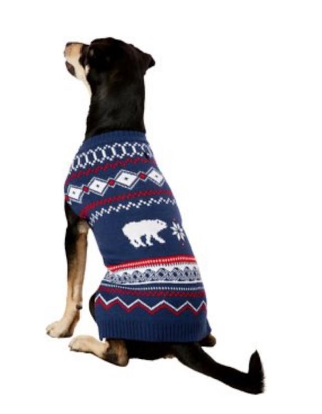 33 Most Adorable Dog Outfits You Can Buy Now — Best Life