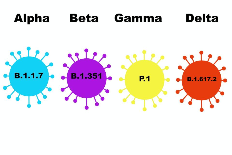 Illustration of SARS-CoV-2 variants