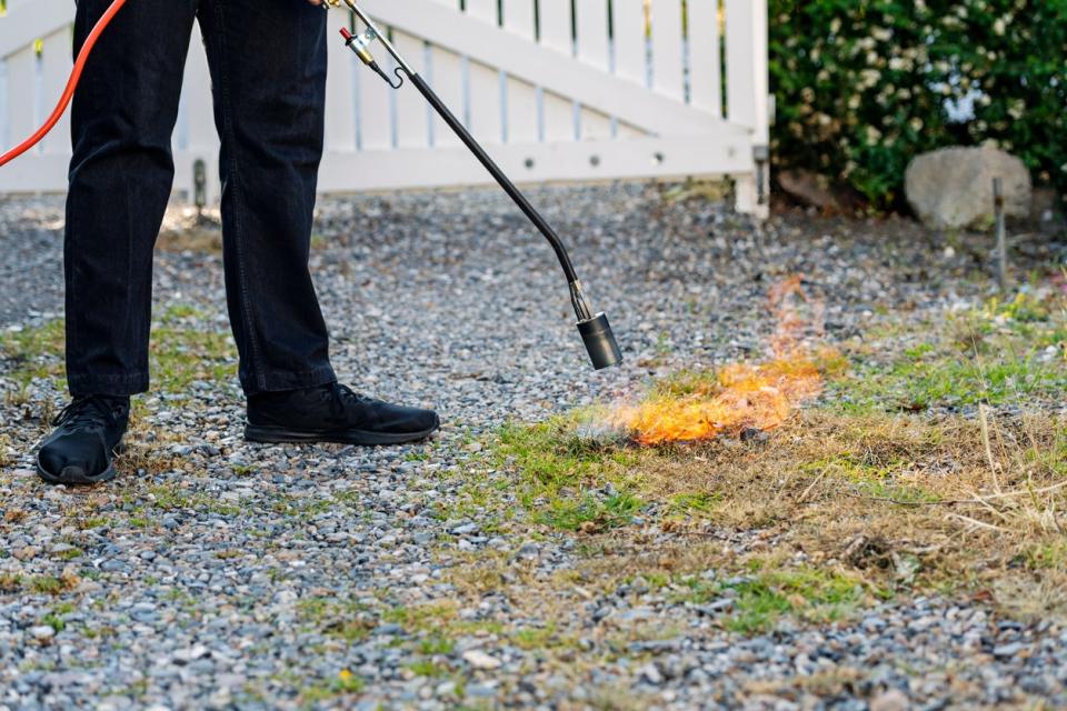 Gas powered weed burner lance burning weeds on a gravel driveway. Weed burning offers a herbicide free option to remove weeds from driveways and paved areas, but the dangers are obvious in drought hit areas where fire can quickly spread. Colour, horizontal format with some copy space.