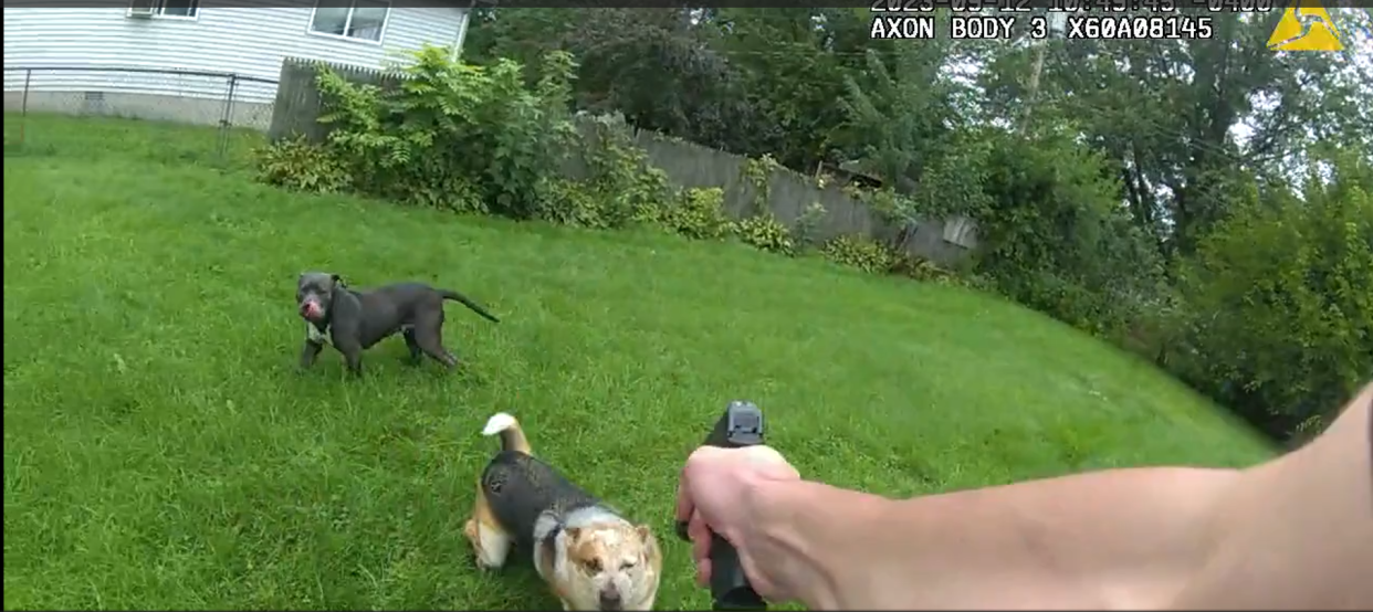 A still image from St. Clair County Deputy Daniel Jehl's body camera of the shooting on Sept. 12, 2023 in Algonac. Jehl said Rocko was approaching him aggressively just before he shot him twice.