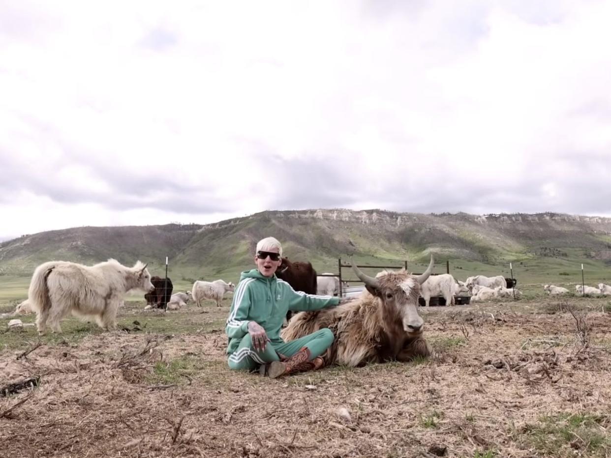 Jeffree Star with a yak on his ranch in Wyoming.